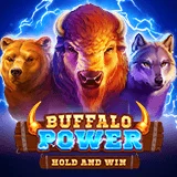 Bocoran RTP Slot Bng Buffalo Power Hold And Win